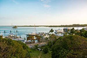 Bimini Island